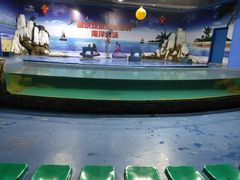 -重庆欢乐海底世界