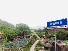 -广东天露山旅游度假区