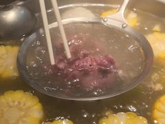 -潮发潮汕牛肉店(东方宝泰店)