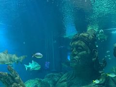 -暹罗海洋世界