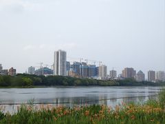 -南宁南湖公园