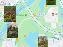 -西海子公园
