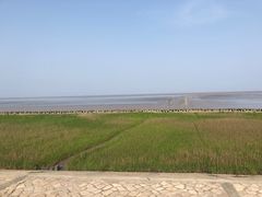 -南汇嘴观海公园