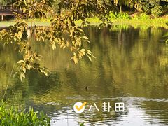 -八卦田遗址公园