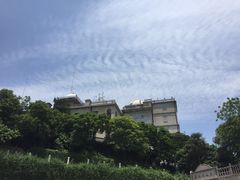 -上海佘山国家森林公园西佘山园