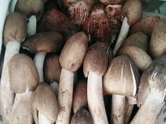 鸡枞菌-菌之家·专业纯野生菌火锅·特色炒菌
