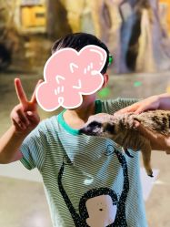 点击看大图 -Zoolung Zoolung动物主题公园(海信广场店)