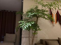 -象泰SPA·泰式按摩·足疗(卓悦中心店)