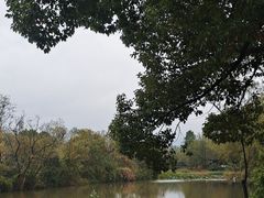 -西溪国家湿地公园