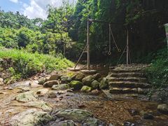 -南海湾森林生态园