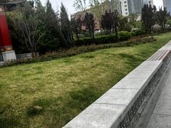 -迎泽公园
