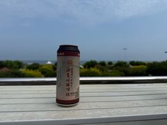 -秦皇岛阿尔卡迪亚滨海度假酒店
