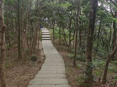 -梧桐山风景名胜区