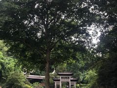 -黔灵山公园