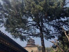 -颐和园