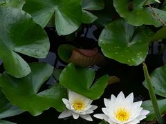 -木塔寺遗址生态公园