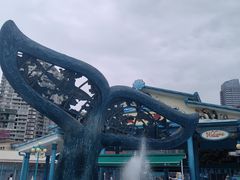 -海合安成都极地海洋公园