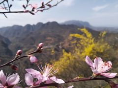 -荆紫仙山景区票务中心