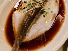清蒸白水鱼-无锡新湖铂尔曼大酒店·悦轩中餐厅