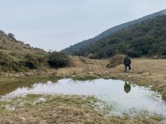 -大姆山草场