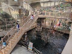 -南宫五洲植物乐园