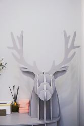 -缤卡妮肌肤管理中心