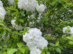 -杭州城北体育公园