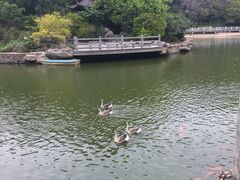 -广州市帽峰山景区