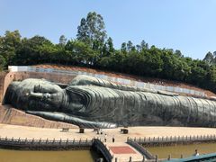 -三水森林公园