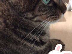 -正宗天津烧麦馆(柳州路店)