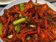 -杨氏青龙虾·羊蝎子(珠江路店)