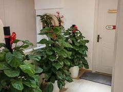 -手舒·采耳按摩·影院足道spa(莫愁湖东路店)