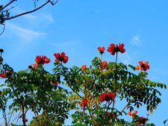 -光明小镇欢乐田园