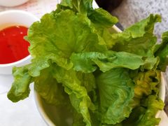 -友谊肥牛