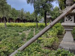 -洛阳白马寺