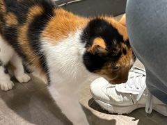 -吉友粥底火锅(方斜路店)