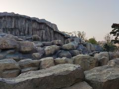 -武汉动物园