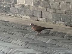 -活水公园