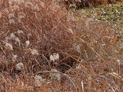 -汉长安城未央宫国家考古遗址公园