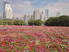 -海心沙亚运公园