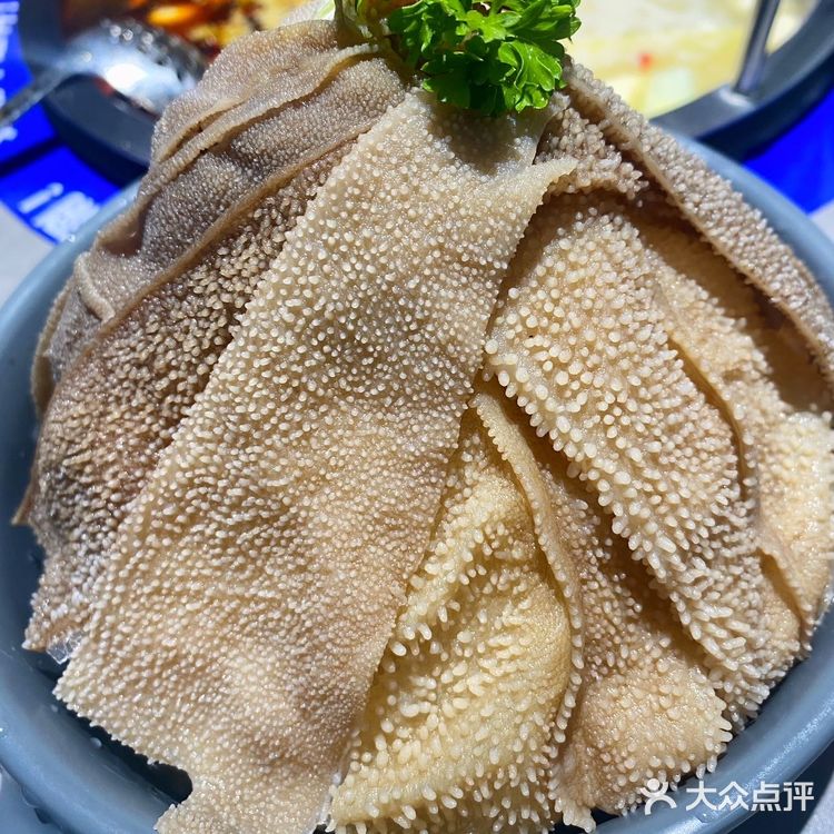 这个夏天让我吃到了让我快乐的快乐小羊