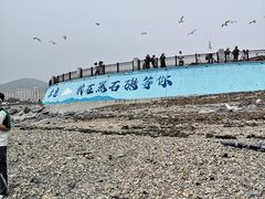 -黑石礁公园