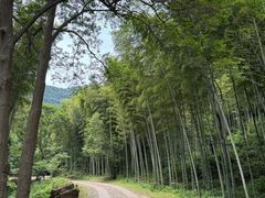 -黄公望隐居地