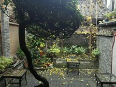 庭院-恺庐茶园(宽窄巷子景区店)