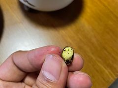 -天发长铁锅炖(王秀村店)