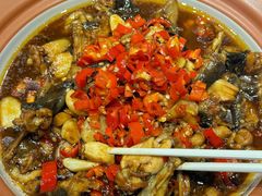 -云境生态园(高新旗舰店)