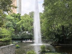 -九龙公园