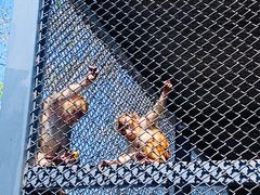 -长白岛森林公园