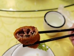 -丁老爷子苏香圆