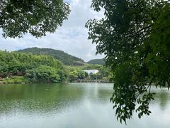 -白马涧龙池景区